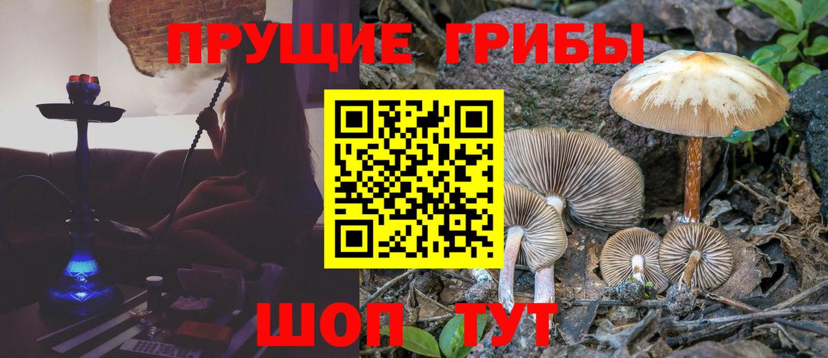Псилоцибиновые грибы Psilocybine cubensis  Вход с VPN  Кинель 