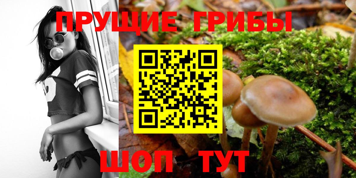 ЭКСТАЗИ  Меф МЯУ МЯУ   Вход с VPN  КОКАИН  Кинель  Купить  Марихуана  ГАШИШ 